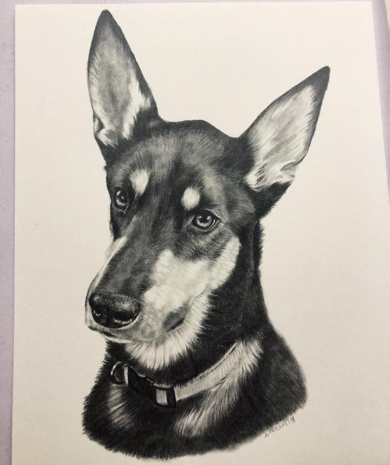 Taz