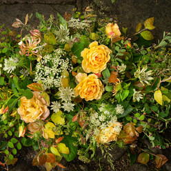 Sympathy arrangement.jpg