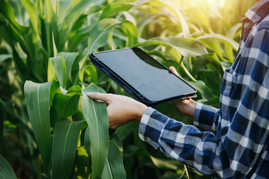 TriAxis Images (7).jpg