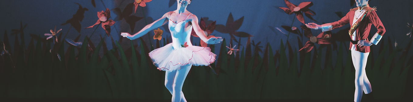 Ballet Dancers