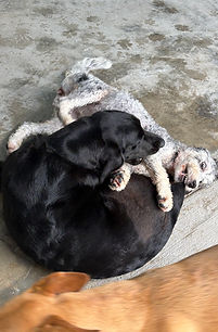 IMG_6998 (1).jpeg