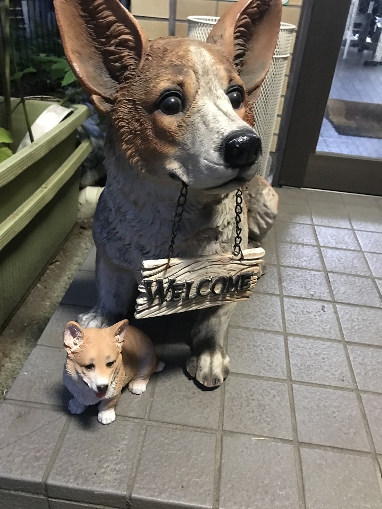 ペットショップ　マルプリティー