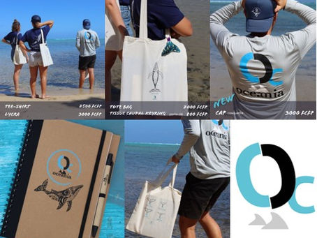 Pour la journée de la baleine, ouverture du dépôt vente de l'Association Oceania à La 5e Dimension !