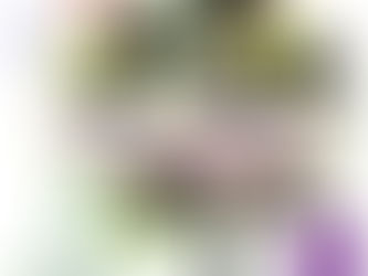 1H pour Découvrir la Psychogénéalogie de Françoise