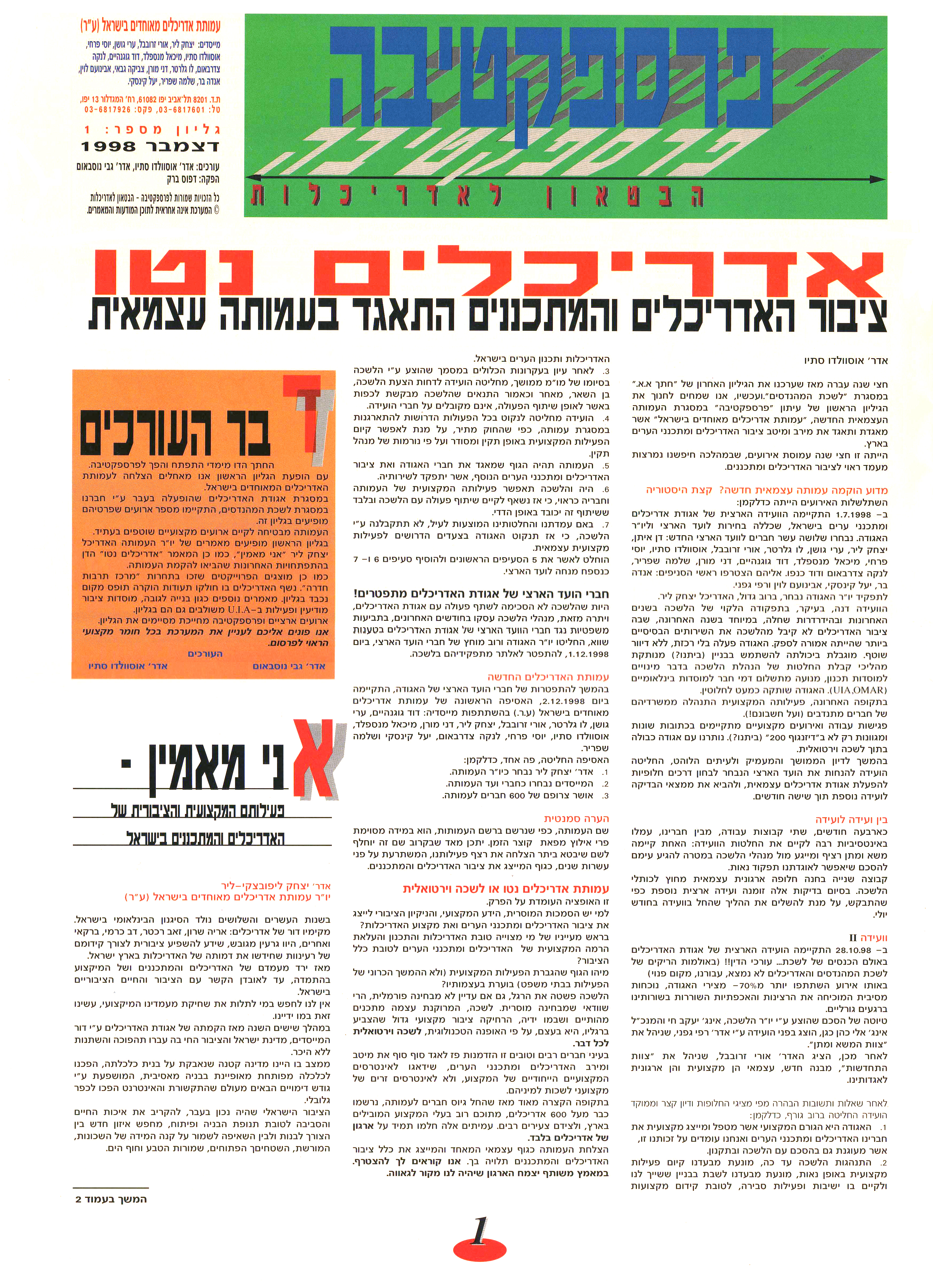 9 PerspectivaArticle