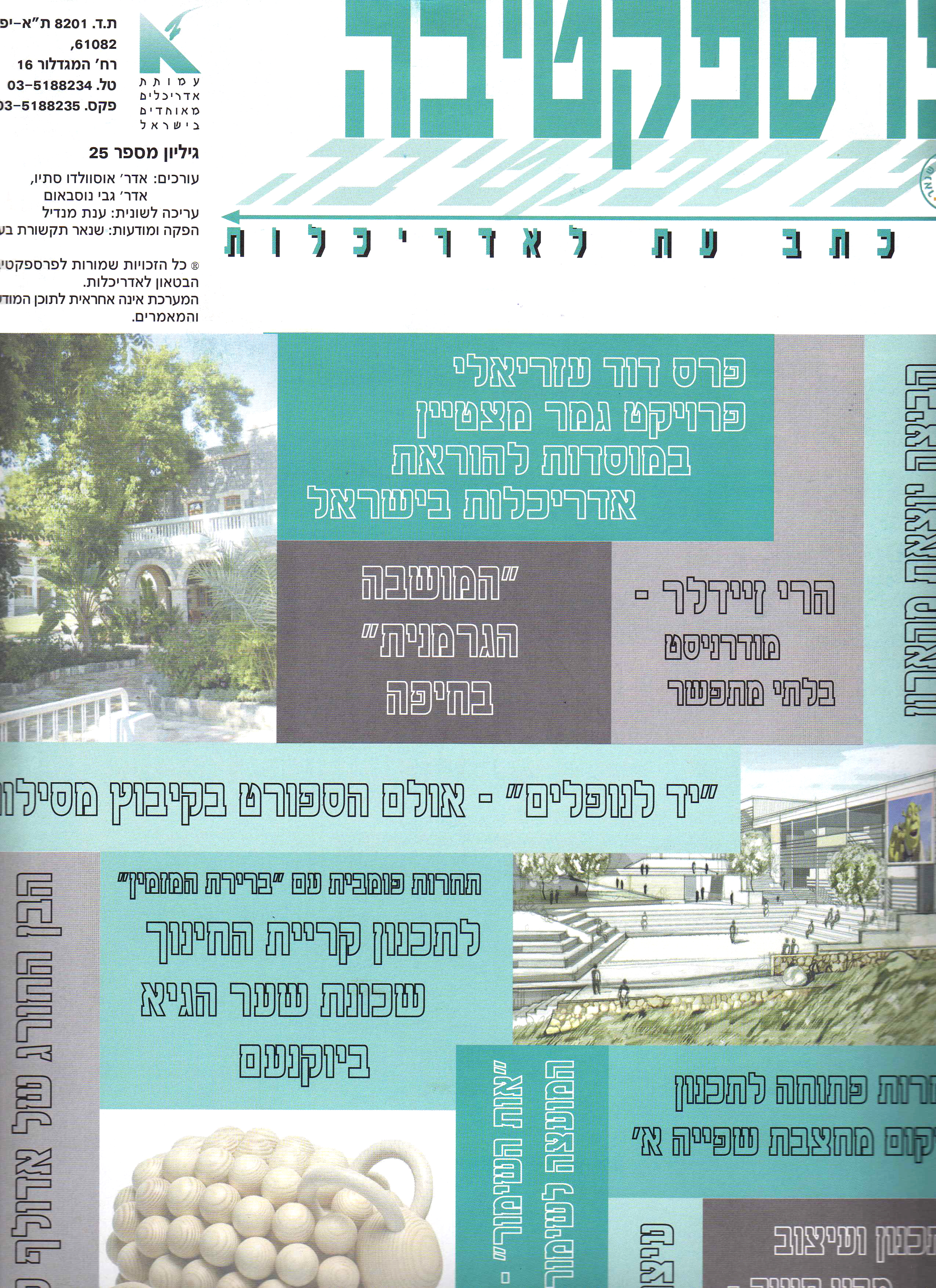 1 PerspectivaArticle