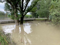 Hochwasser 2022 Krebsenbach/Brühlgraben