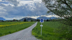 Fahrradweg im Naherholungsgebiet