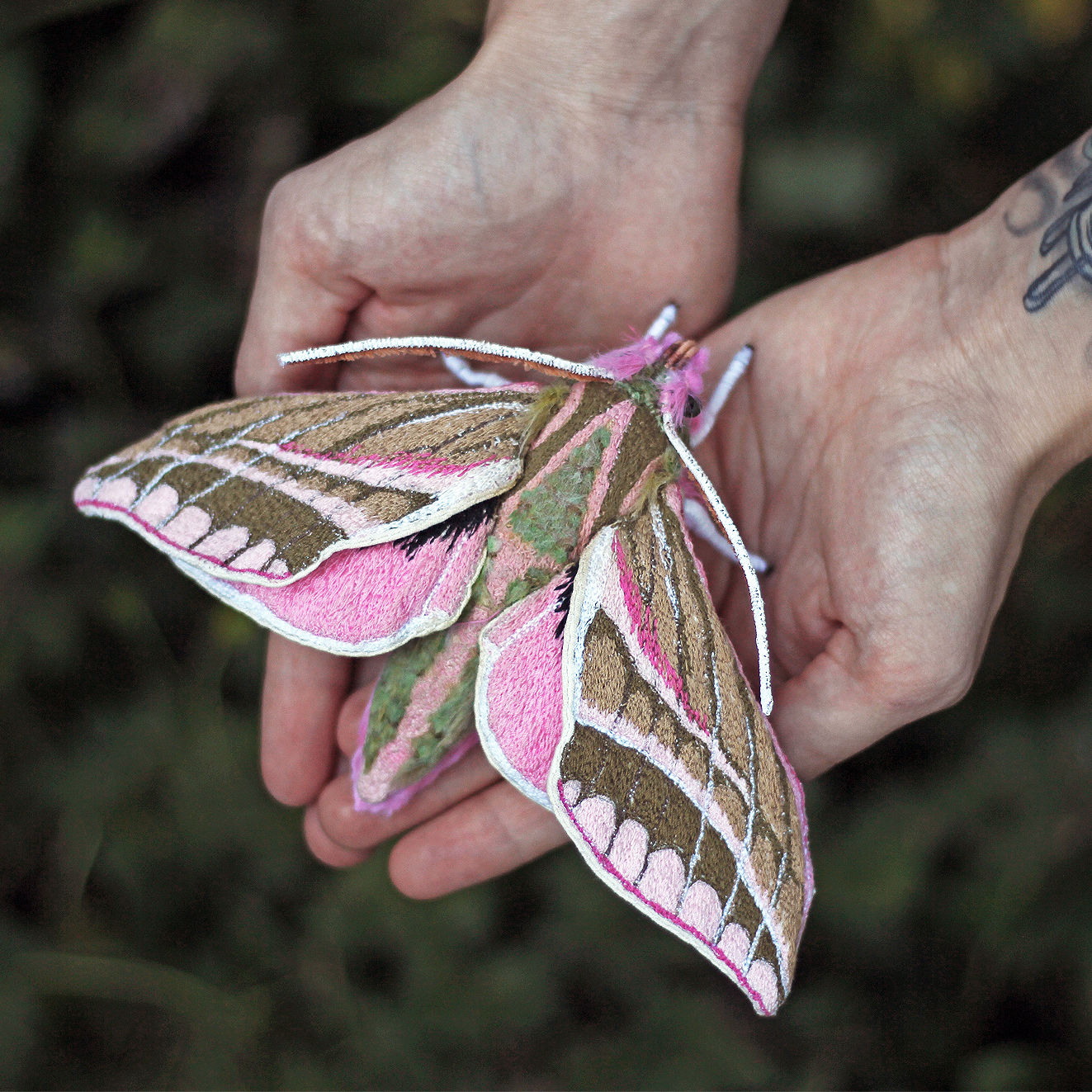 Elephant Hawk Moth