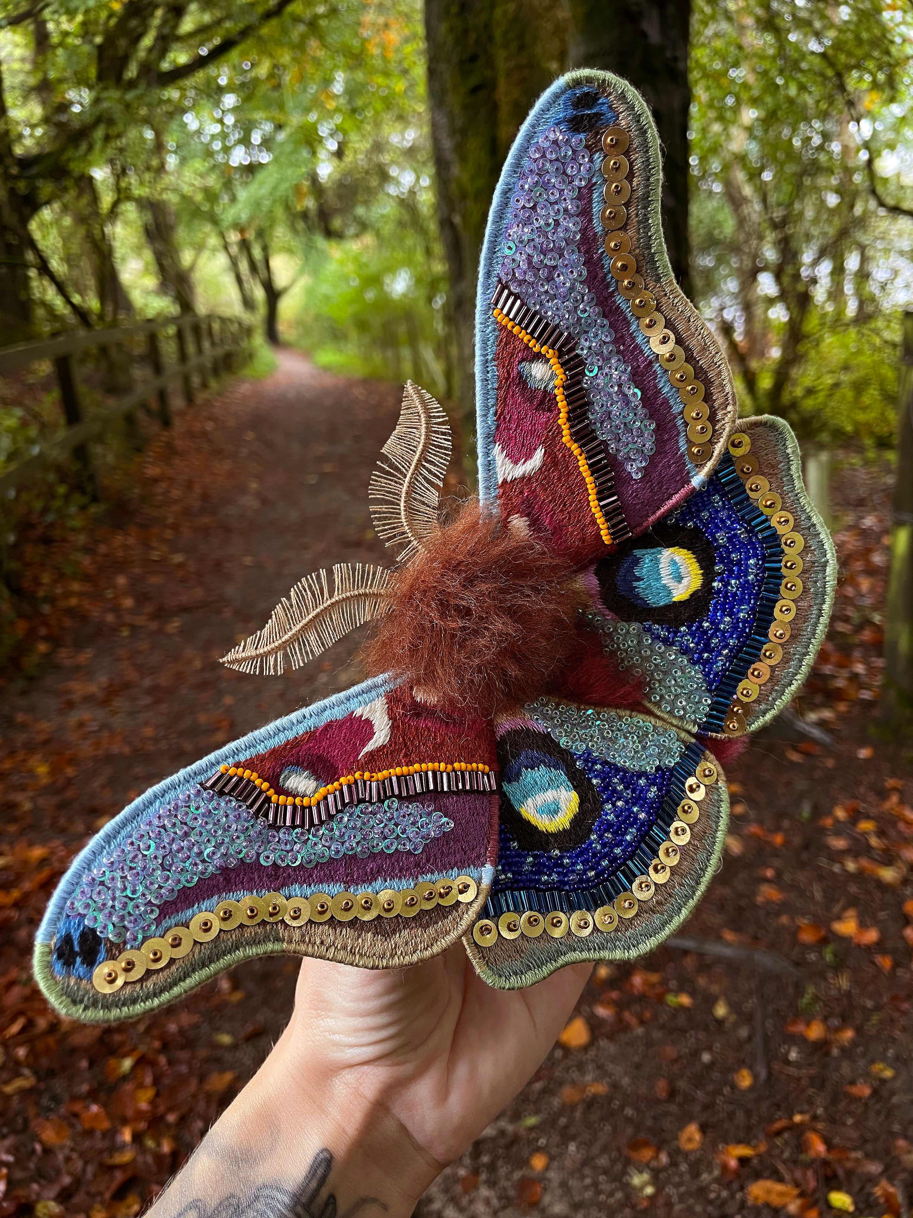 Large Beaded Moth