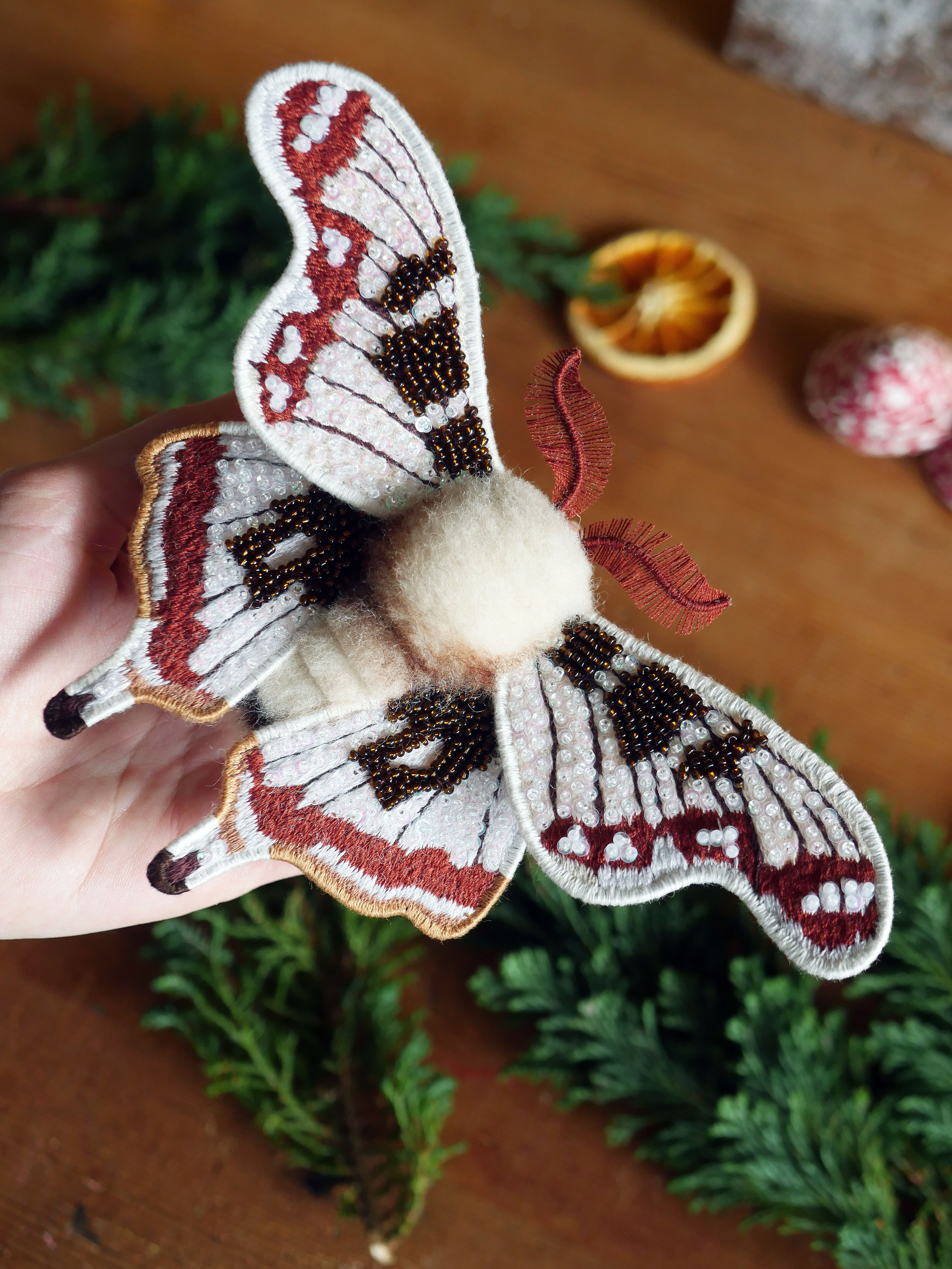 White Beaded Moth