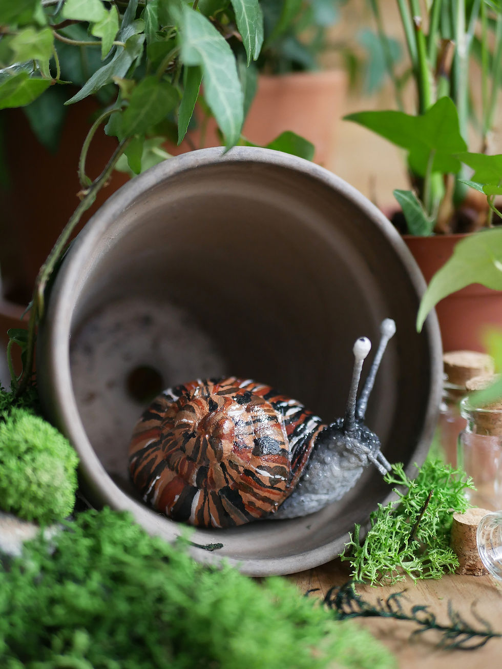 Thumbnail: Classic - Baby Garden Snail