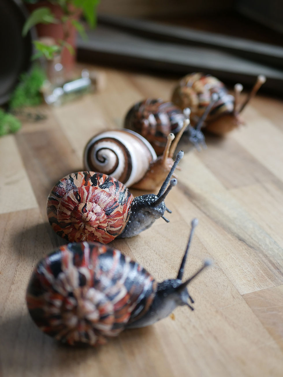 Thumbnail: Ginger - Baby Garden Snail