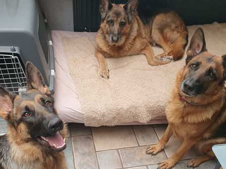 Lara logeert bij Lieke