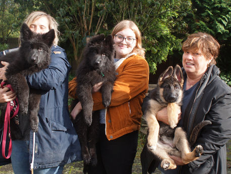 Mini-reünie meiden van het K-nest