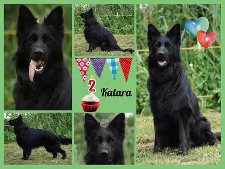 Katara 2 jaar
