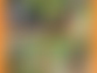 Jarah (Kaya) von Kameradstolz kwam logeren