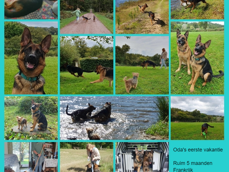 Odaatje's eerste vakantie