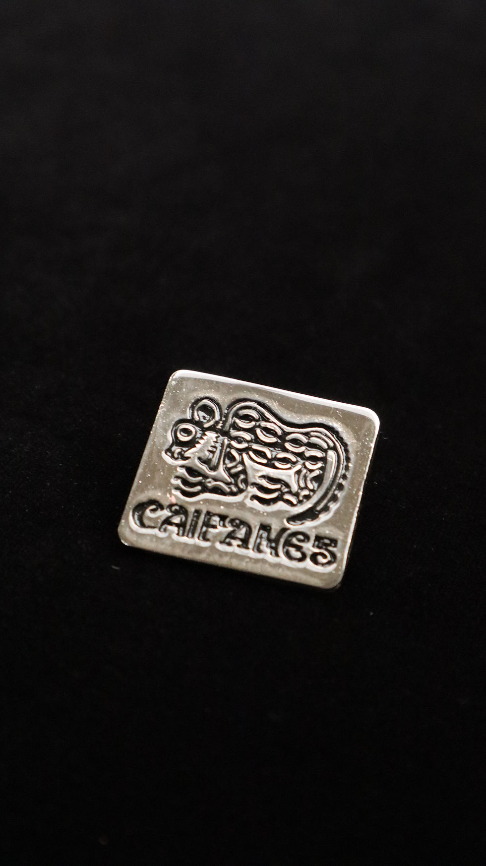 Thumbnail: Pin CAIFANES Coleccion Cordillera