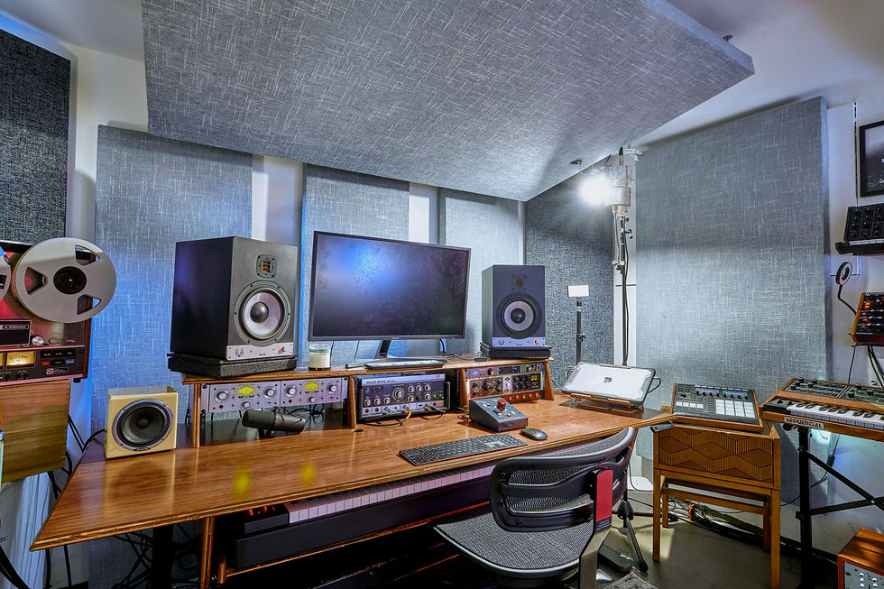 professionally designed and treated studio