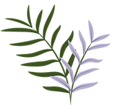 Soul Meets Science (6).png