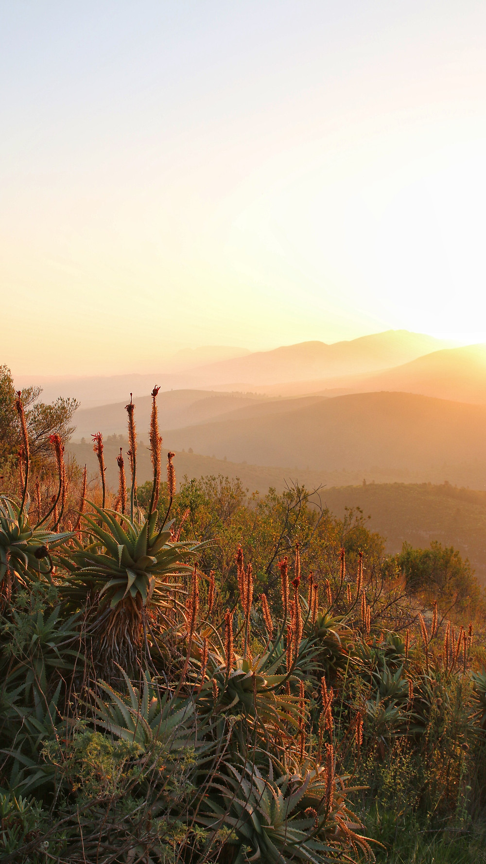 Akasha Mountain Retreat