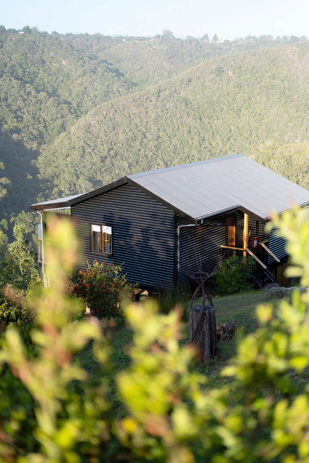 Accommodation in Wilderness