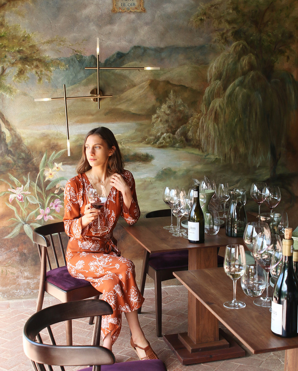 Wine Blogger South Africa