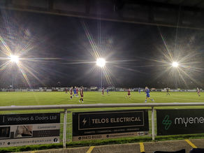 Owls Steel The Points