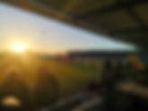 Go (South) West