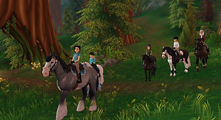 StarStable_2021-03-03_20-00-48.png