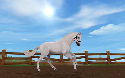 StarStable 2021-02-10 19-28-22.png