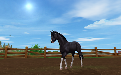 StarStable 2021-02-11 16-39-12.png