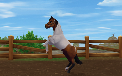 StarStable 2021-02-10 19-32-30.png