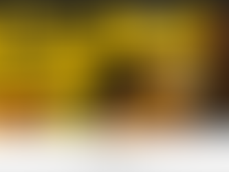 GUZMAN Y GOMEZ: WHAT THE BRAND ACTUALLY MEANT TO BE ALL IN?