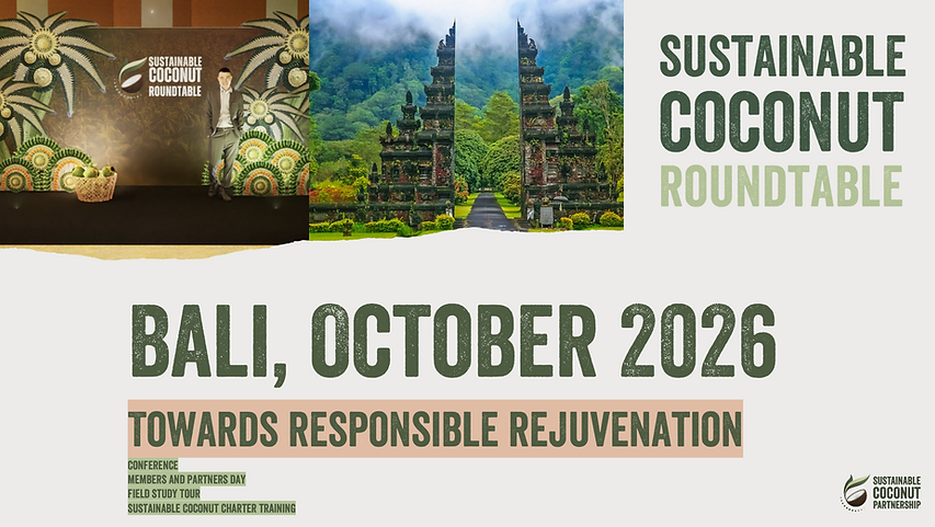 Bali RT 2026.png