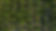 coconut background.jpg