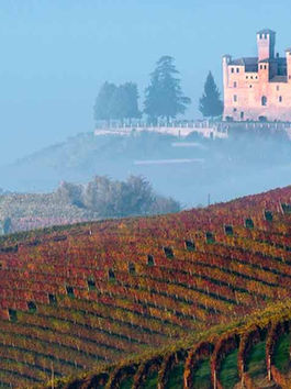 Pináculos del Nebbiolo