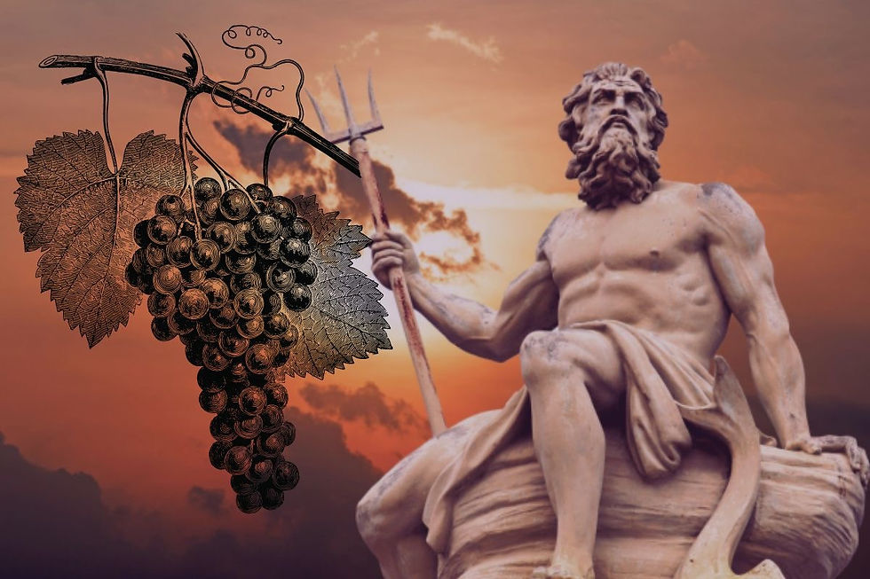La tradición vitivinicola italiana se remonta a la Antigüedad. Es una tradición sólidamente anclada en su cultura.. 