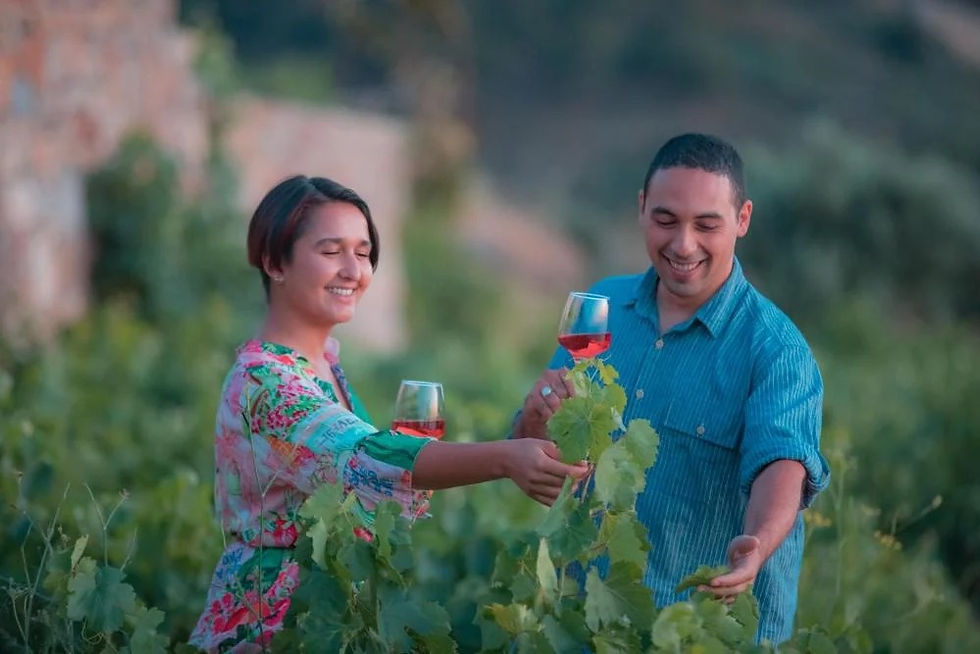 Vinos livianos y frutados serán de rigor a partir de ahora. Foto: Winedering.