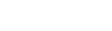 Copy of Summit & Co Logos-2.png