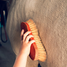 person holding brown wooden brush_edited.jpg