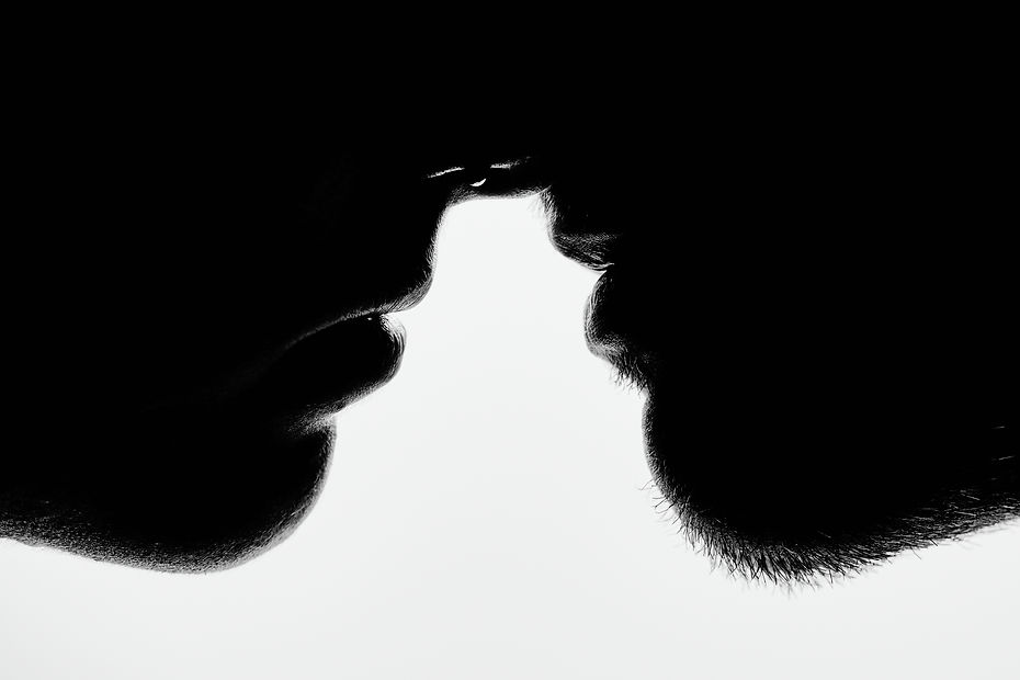 Close up of lower half of face of couple while almost kissing.