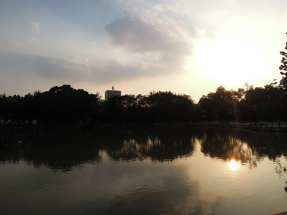 DSCN1881