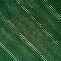 Diagonal Pattern