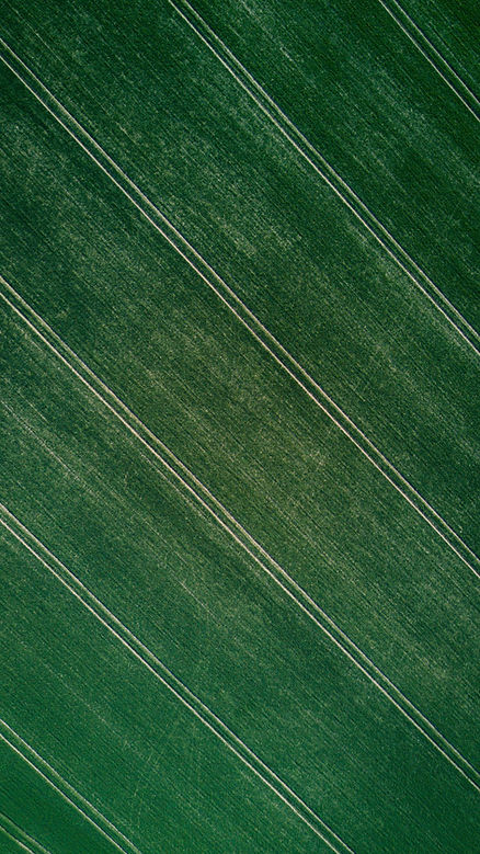 Motifs de terrain vert