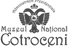 vultur_alb_edited.png