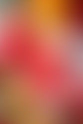 Seasonal Sips: Christmas Punch to Warm Up December Evenings