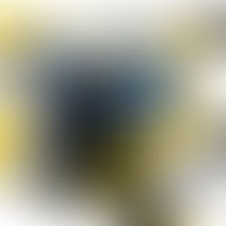 Crime, Clues, and Captivating Twists: Our Spotlight on Along Came a Spider