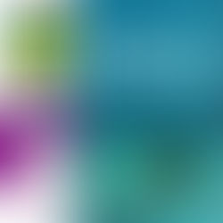 Fe’s Reads Indie Author Spotlight: May Edition